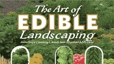 The Art of Edible Landscaping: Combining Beauty and Function