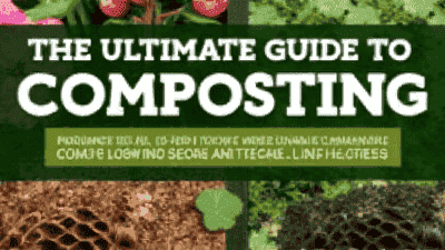 The Ultimate Guide to Composting: How to Turn Kitchen Waste into Garden Gold