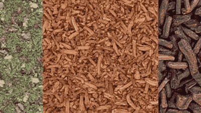 Understanding Different Types of Mulch and Their Benefits